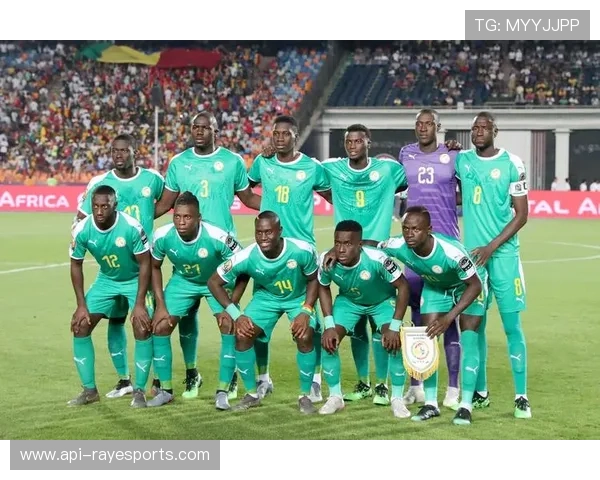 塞内加尔足球复兴：从2002世界杯到2026非洲杯的崛起